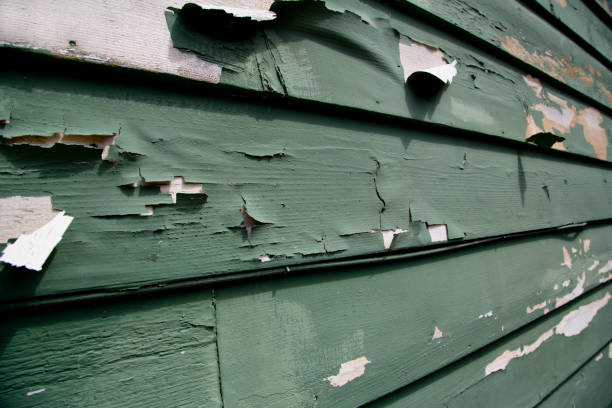 Best Historical Building Siding Restoration  in Sandston, VA