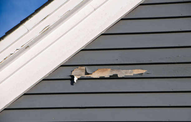 Best Siding for New Construction  in Sandston, VA